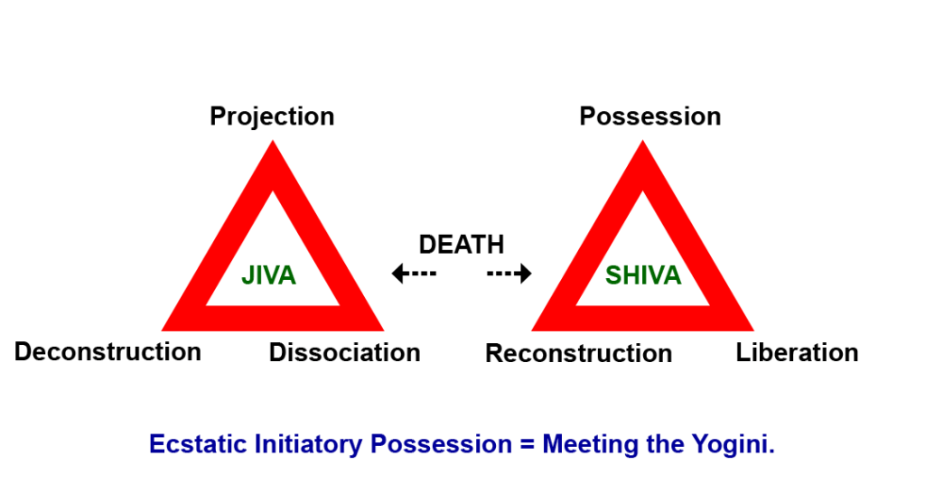 Surya Namaskar: The&nbsp; Consciousness&nbsp;science.